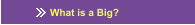 What is a Big?